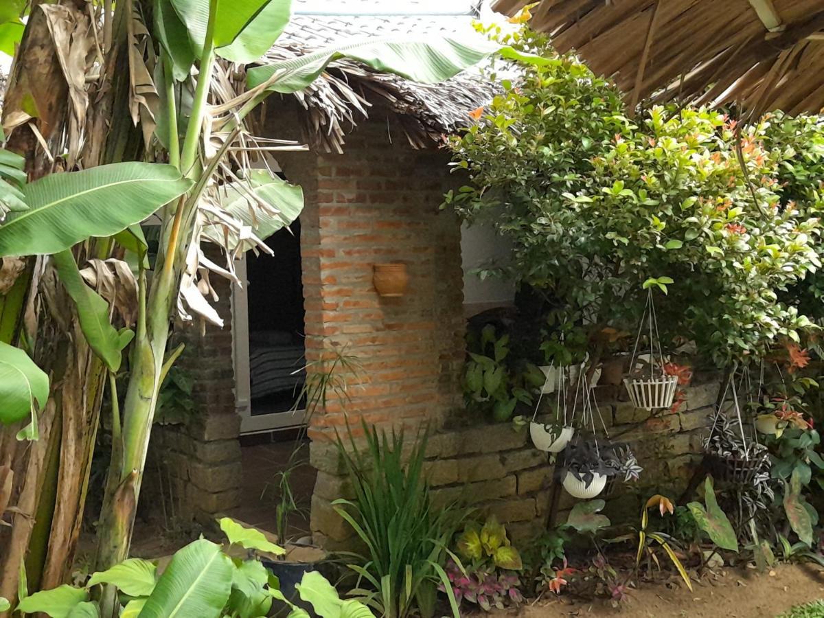 La Terrazza Bed & Breakfast Hoi An Exterior photo