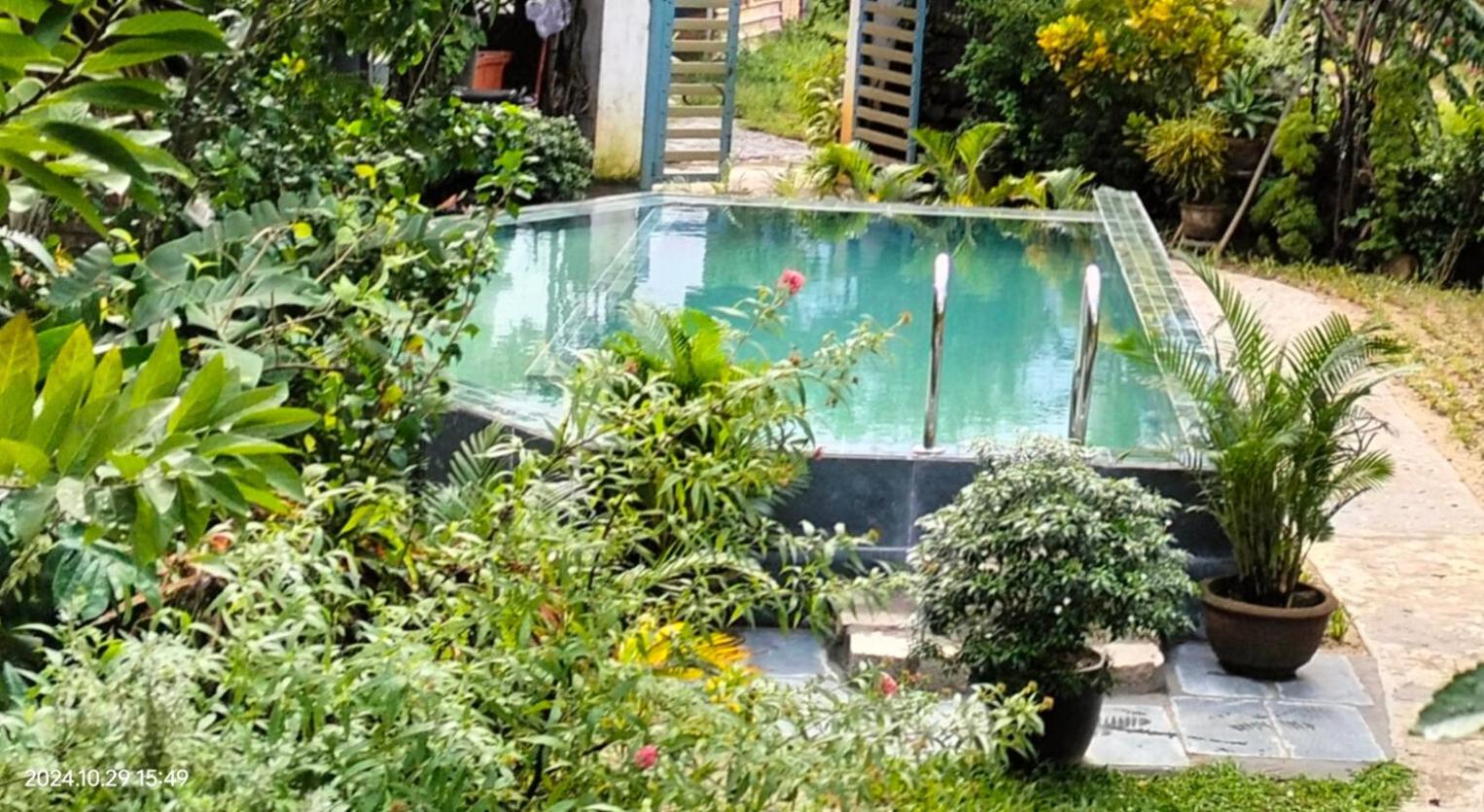La Terrazza Bed & Breakfast Hoi An Exterior photo