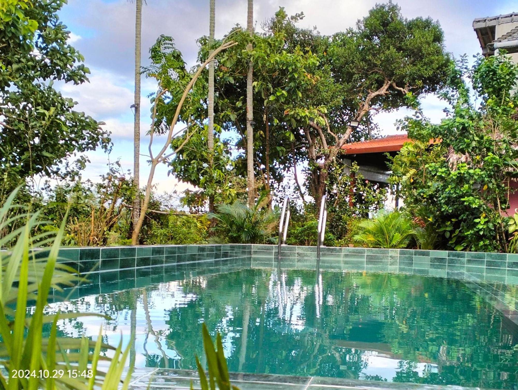 La Terrazza Bed & Breakfast Hoi An Exterior photo